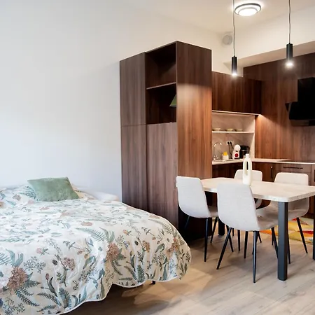 Naiti Deluxe Cassovar With Aircon And Terrace * Košice
